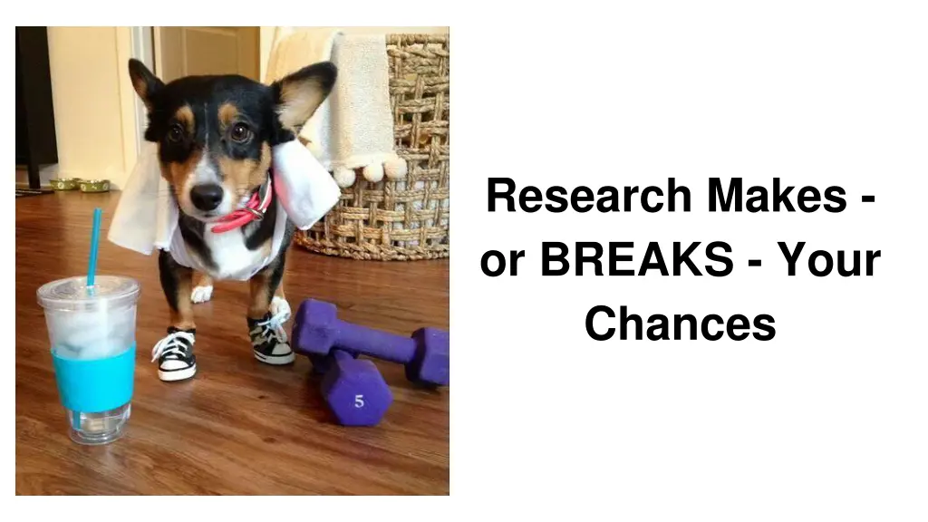 research makes or breaks your chances