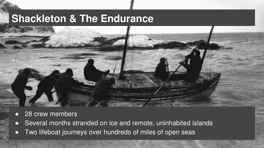 shackleton the endurance