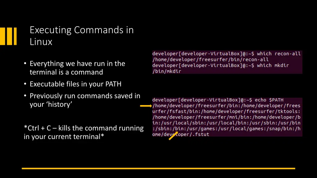 executing commands in linux