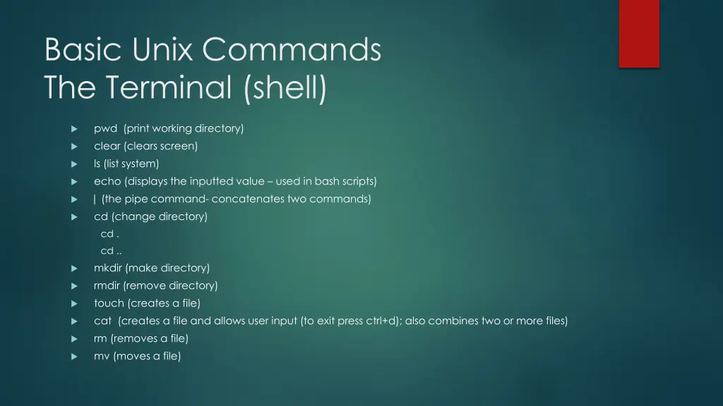 basic unix commands the terminal shell