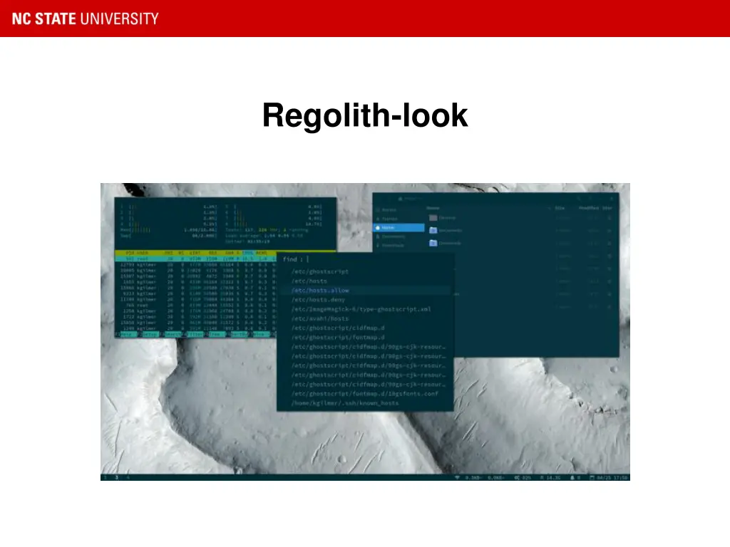 regolith look