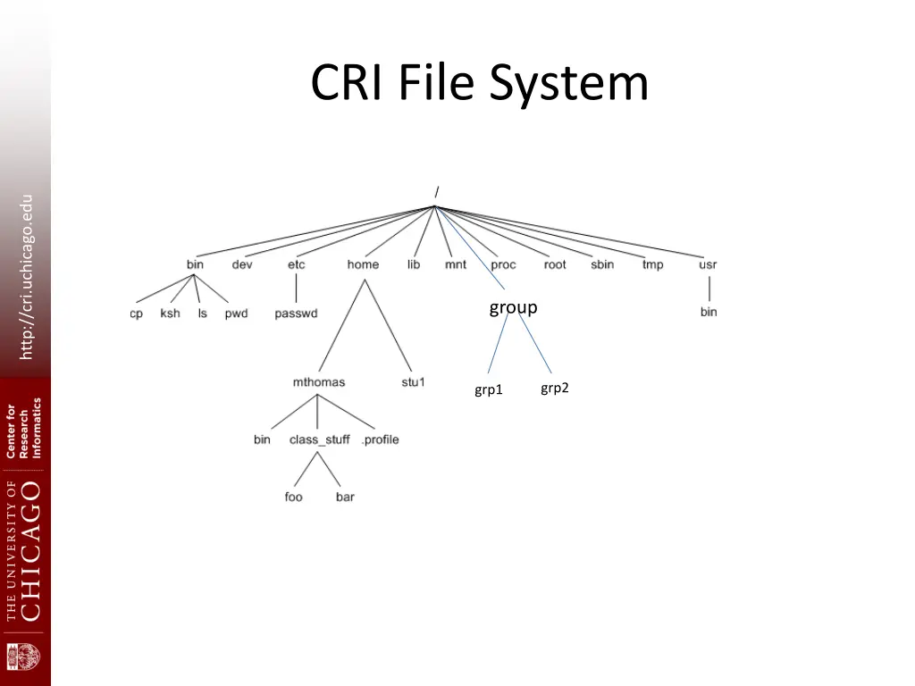 cri file system