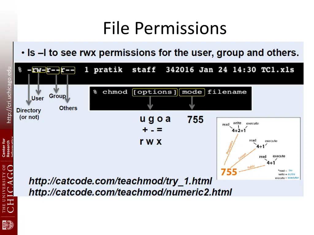 file permissions