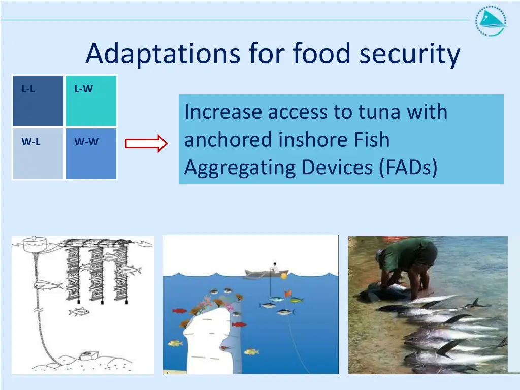 adaptations for food security 3