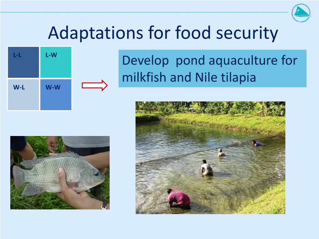 adaptations for food security 5