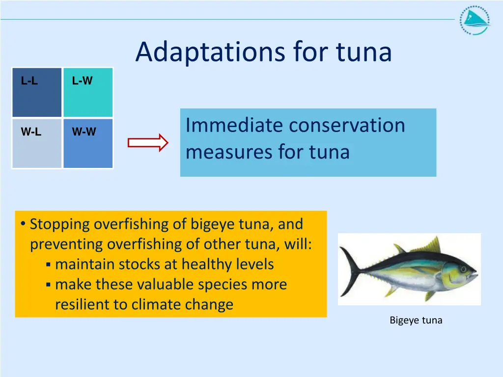 adaptations for tuna 2