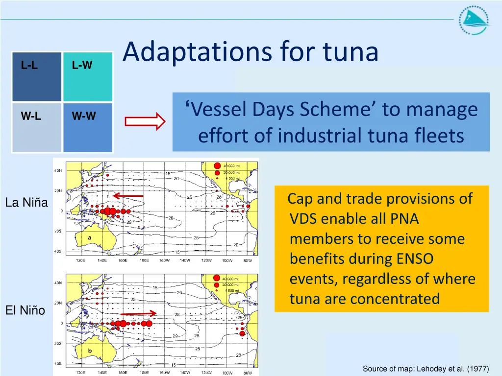 adaptations for tuna