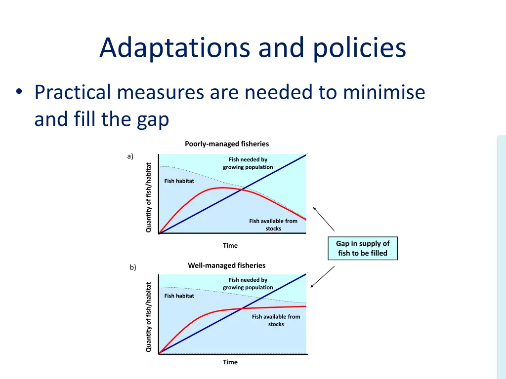 adaptations and policies
