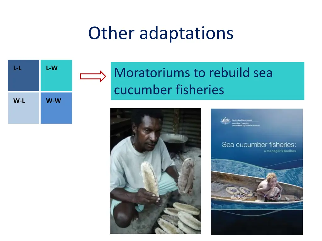 other adaptations
