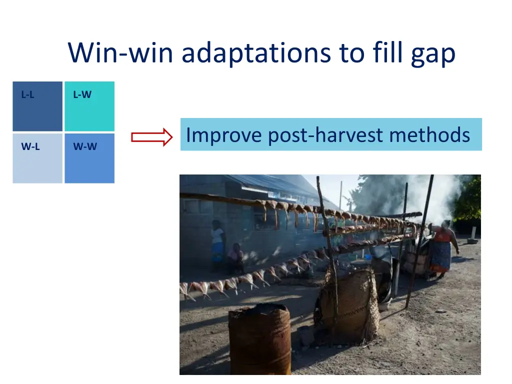win win adaptations to fill gap 1