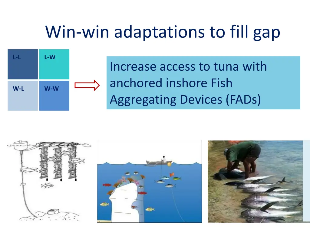 win win adaptations to fill gap