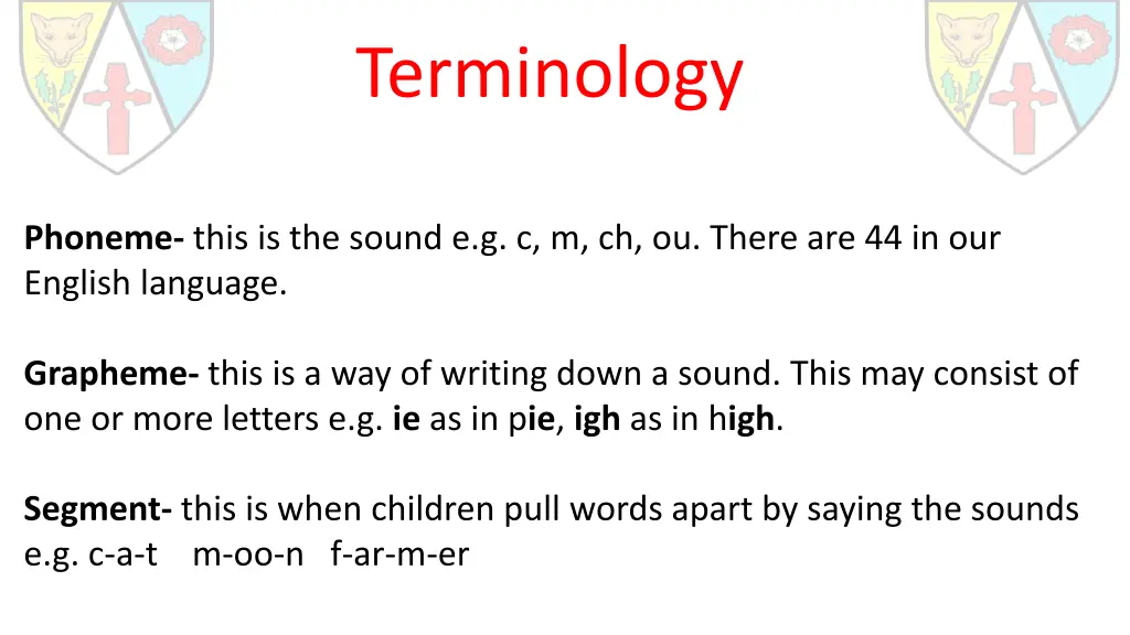terminology