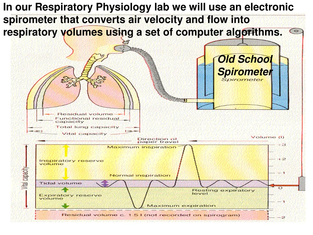 in our respiratory physiology lab we will