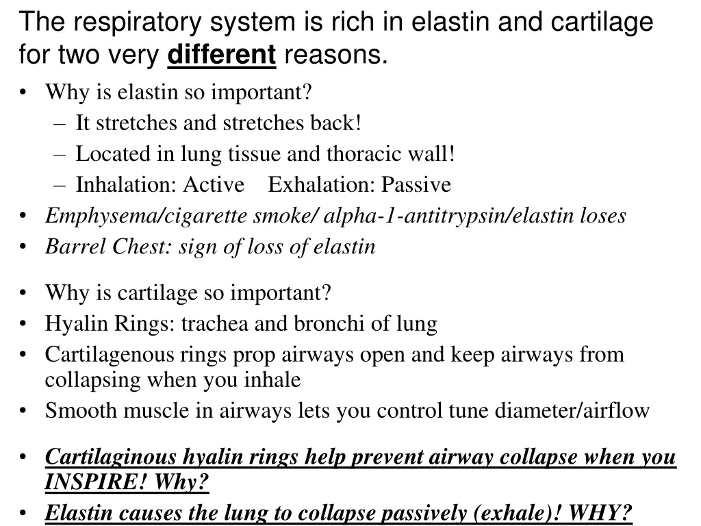 the respiratory system is rich in elastin