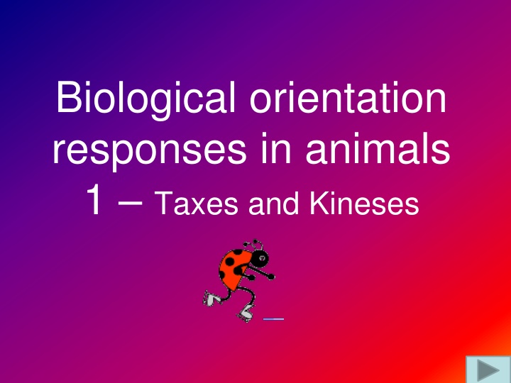 biological orientation responses in animals