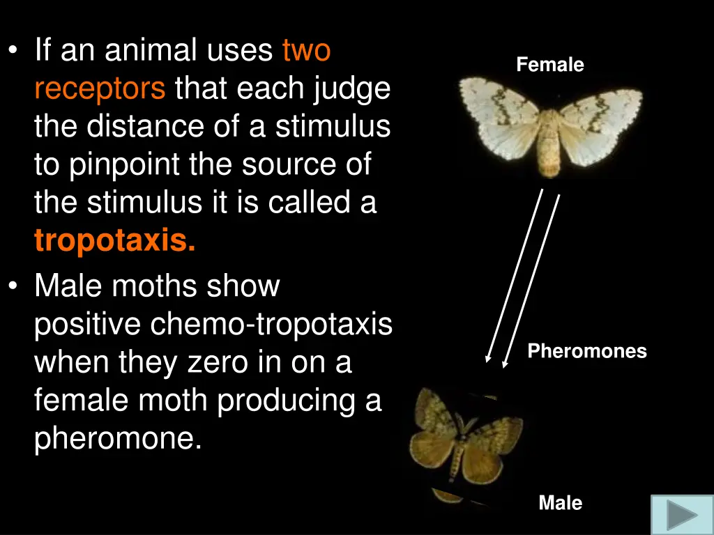 if an animal uses two receptors that each judge