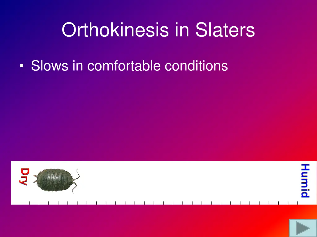 orthokinesis in slaters