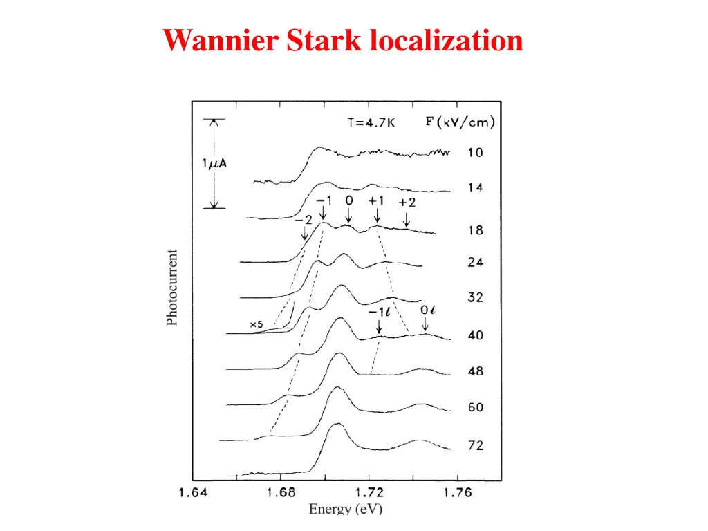 wannier stark localization 1