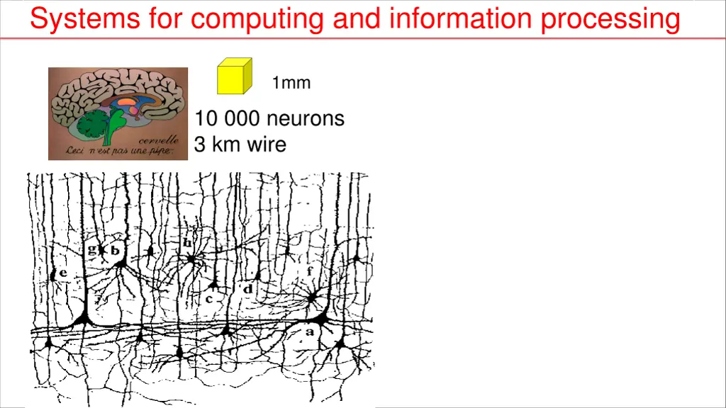 systems for computing and information processing 1
