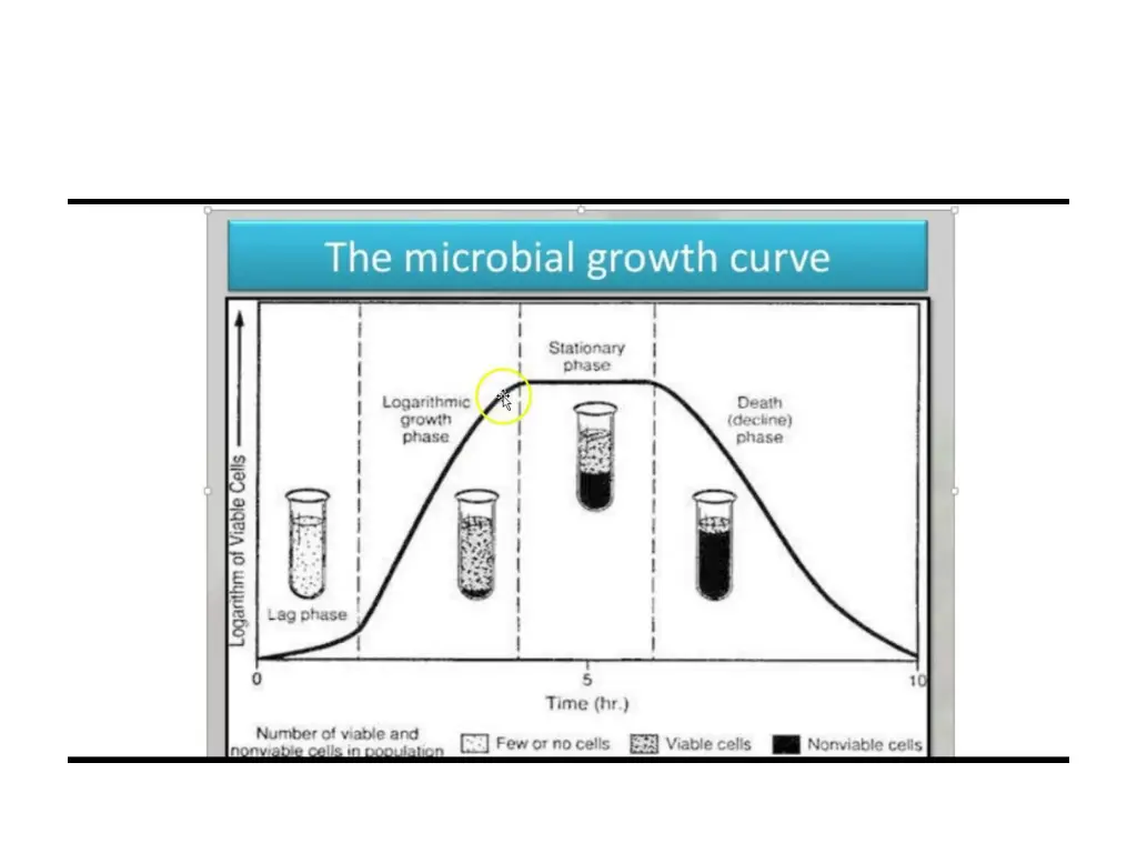 slide7