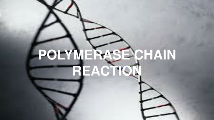 polymerase chain reaction