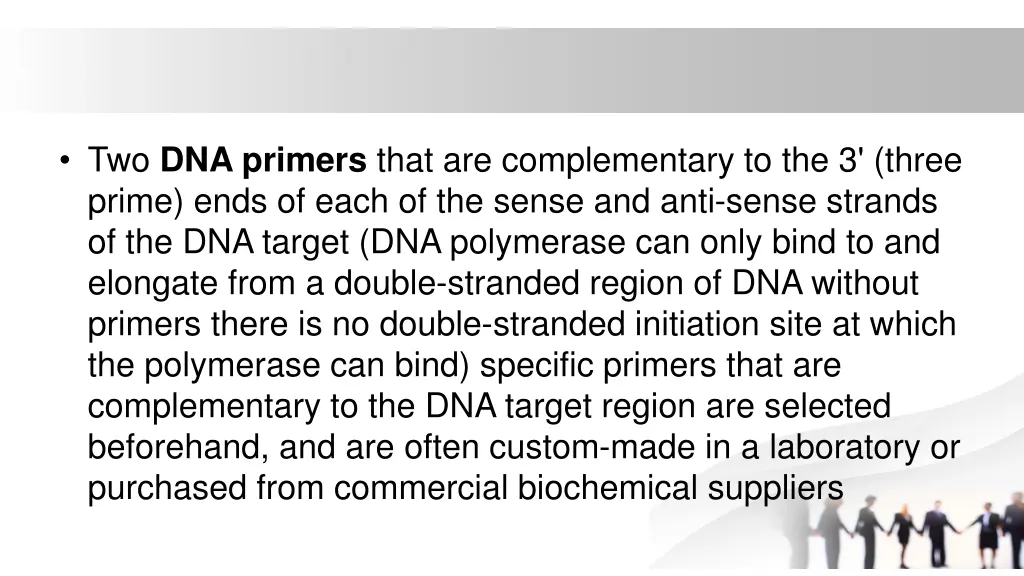 two dna primers that are complementary