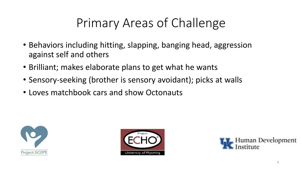 primary areas of challenge