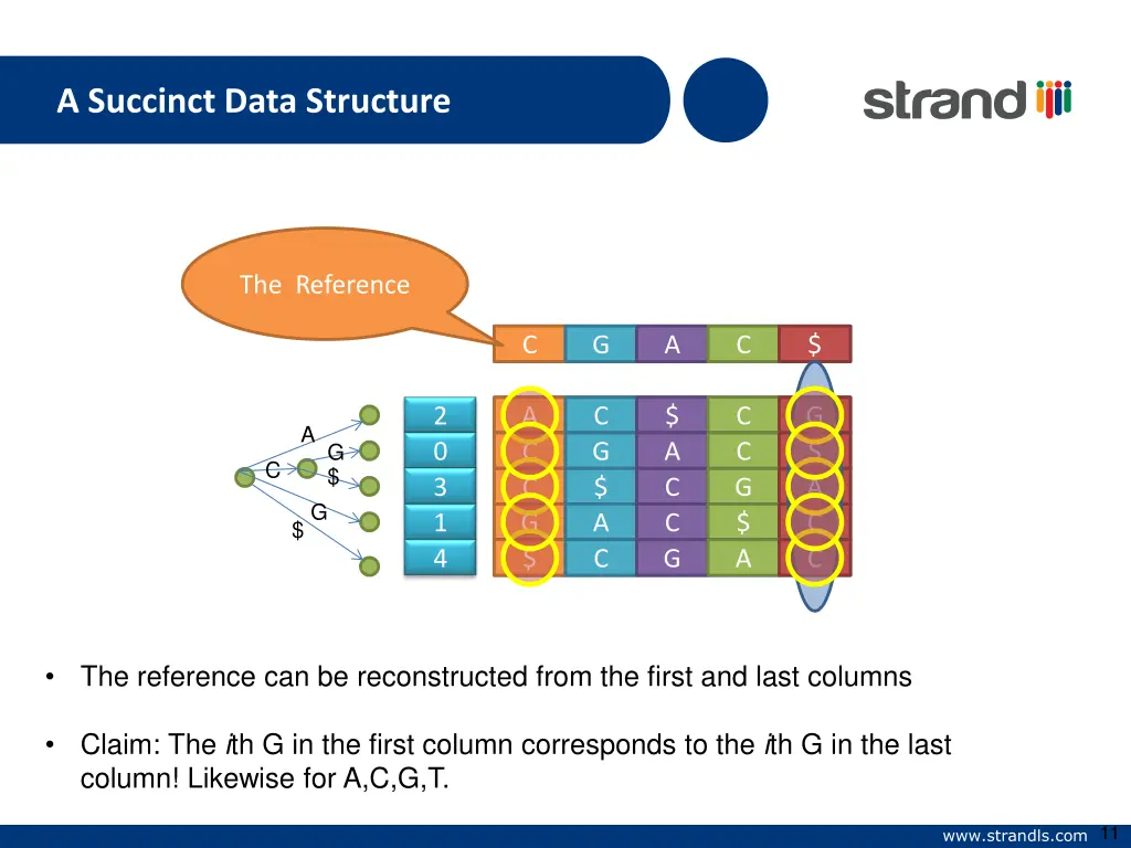 a succinct data structure 1