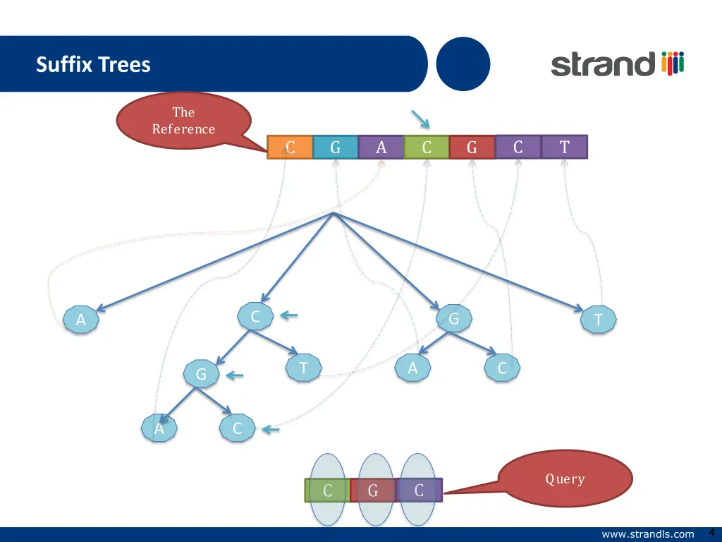suffix trees