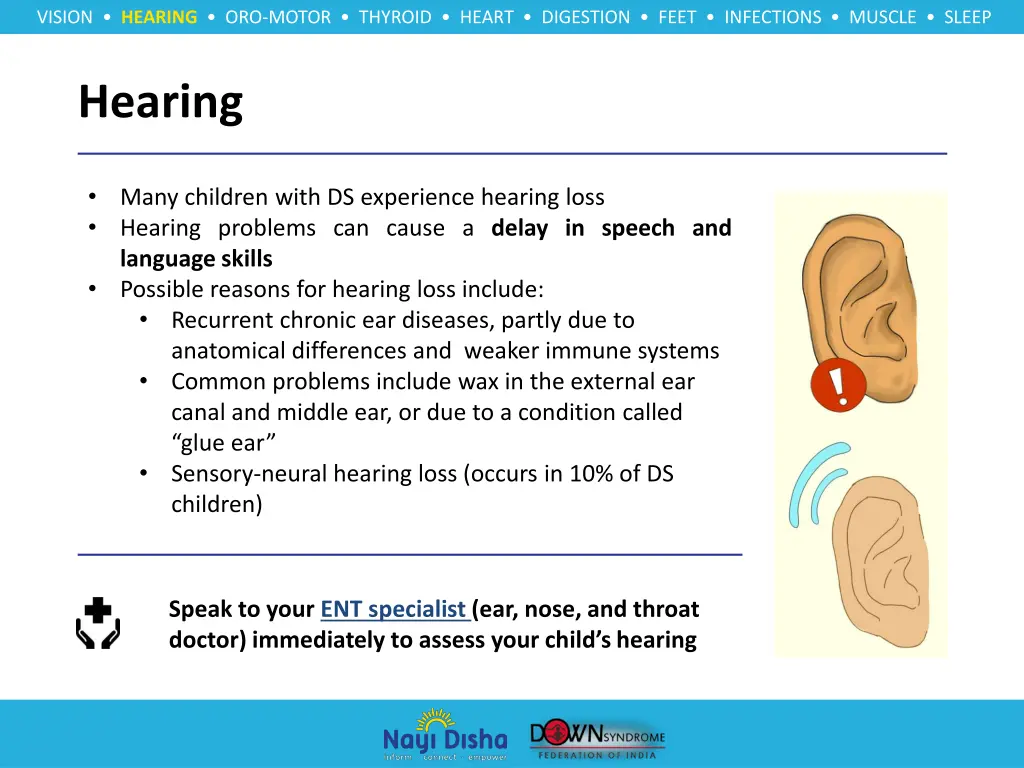 vision hearing oro motor thyroid heart digestion 3