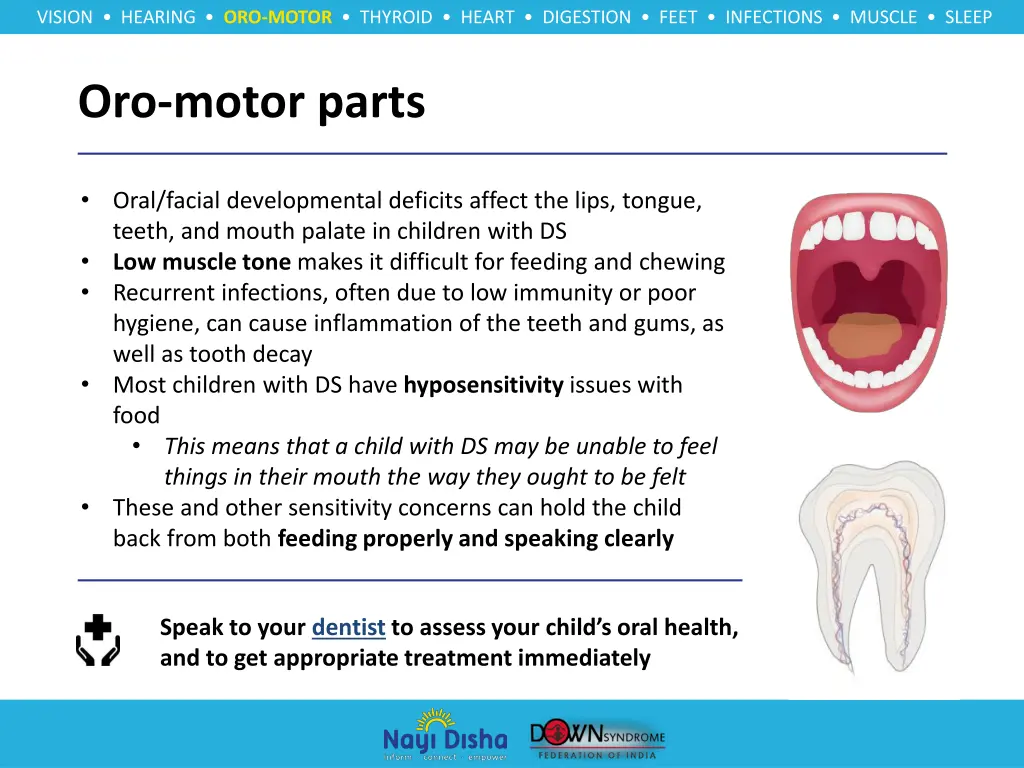 vision hearing oro motor thyroid heart digestion 4