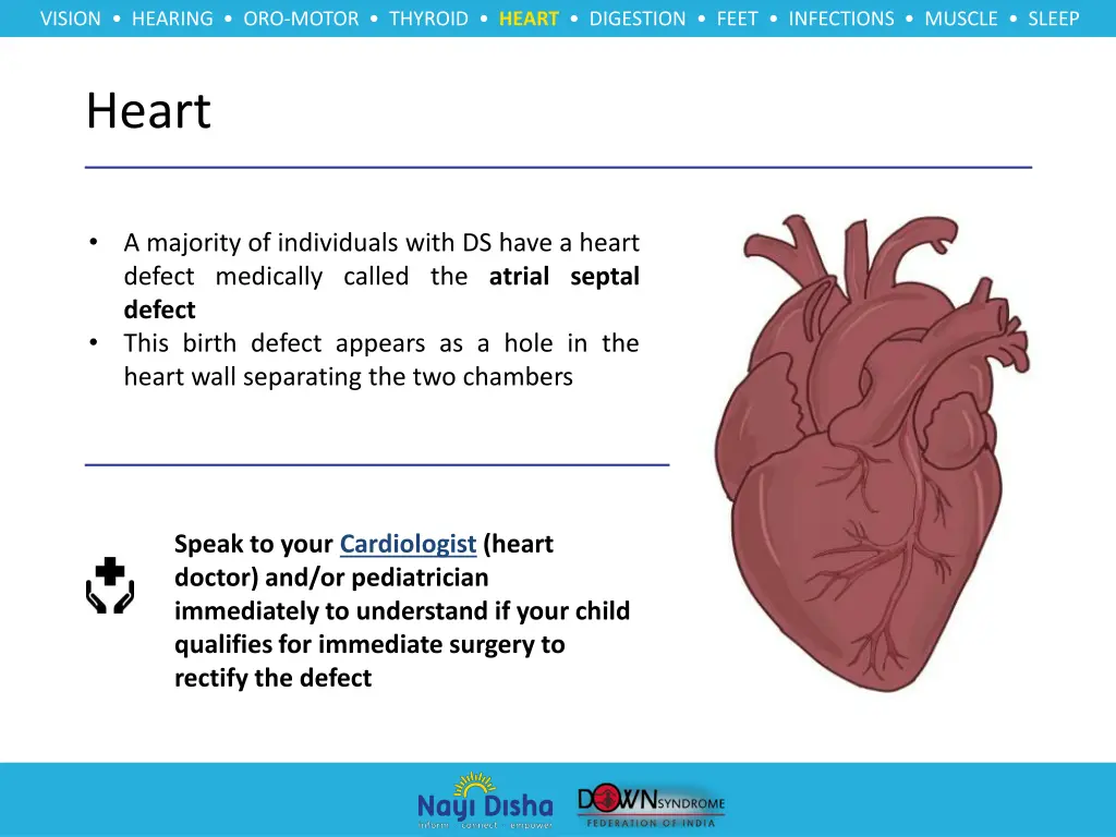 vision hearing oro motor thyroid heart digestion 8