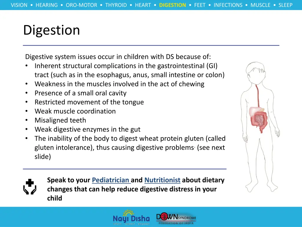 vision hearing oro motor thyroid heart digestion 9