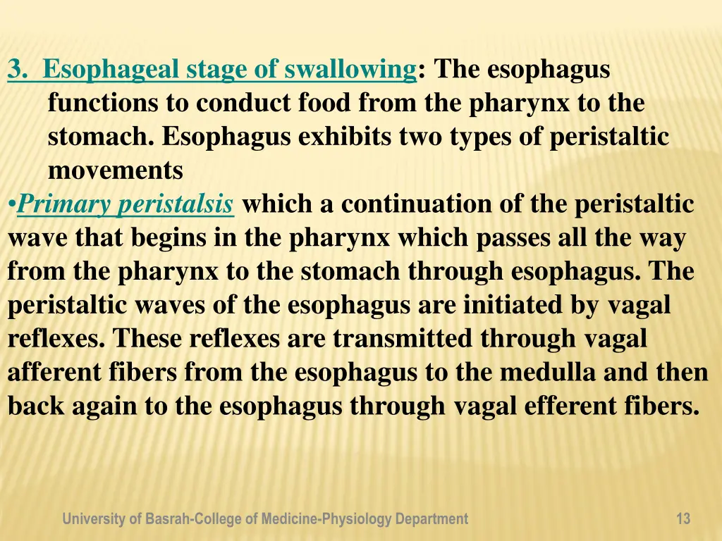 3 esophageal stage of swallowing the esophagus