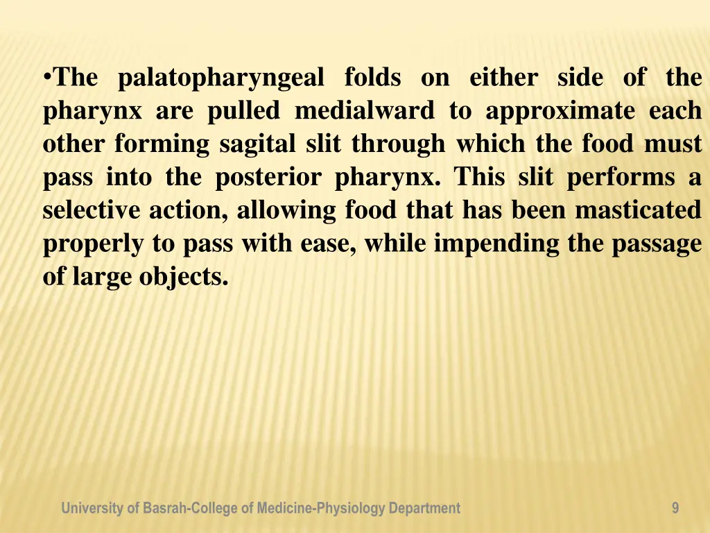 the palatopharyngeal folds on either side