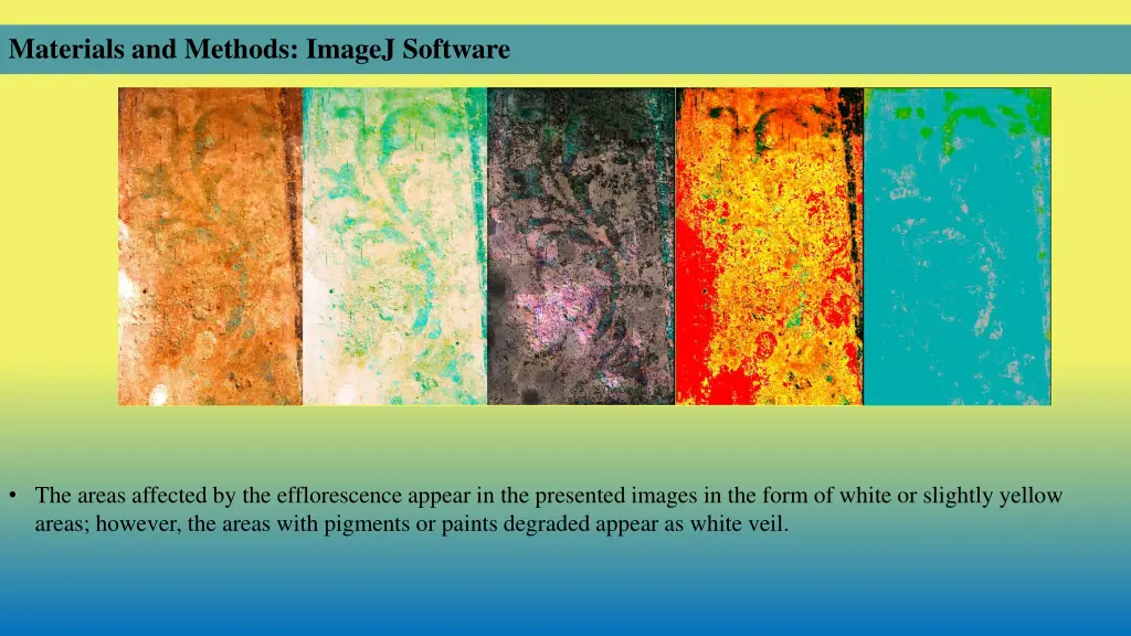 materials and methods imagej software