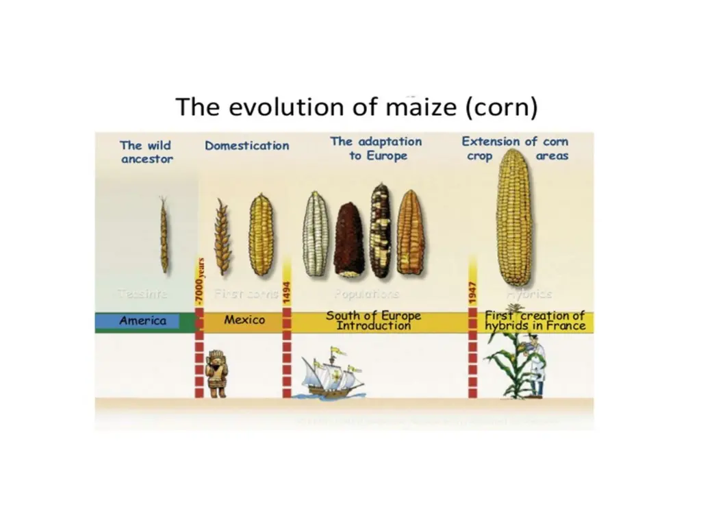 slide6