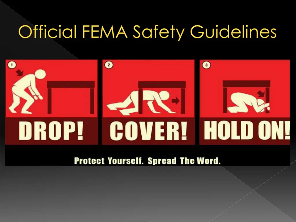 official fema safety guidelines