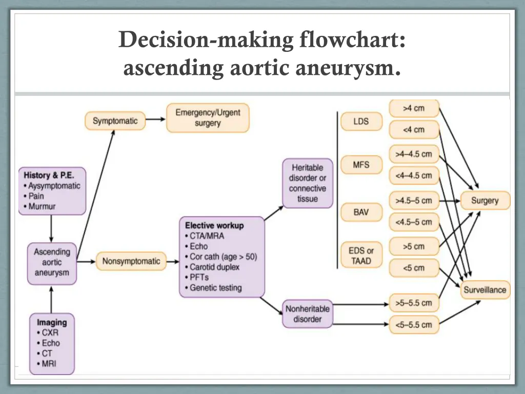 decision making flowchart ascending aortic