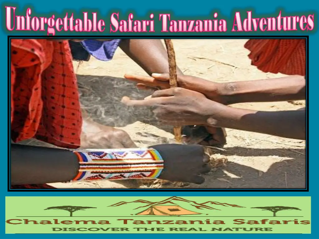 unforgettable safari tanzania adventures 1