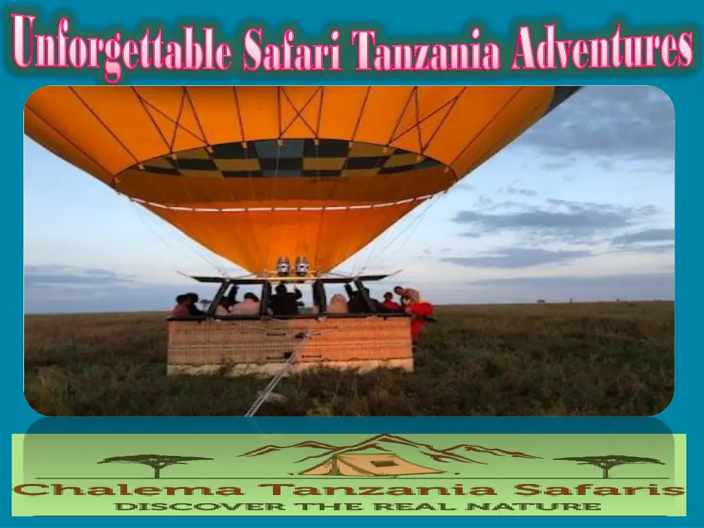 unforgettable safari tanzania adventures 2