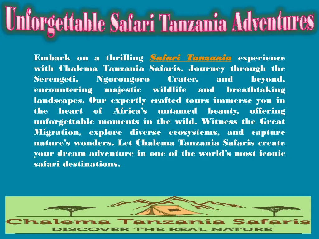 unforgettable safari tanzania adventures 3