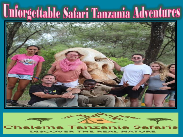 unforgettable safari tanzania adventures