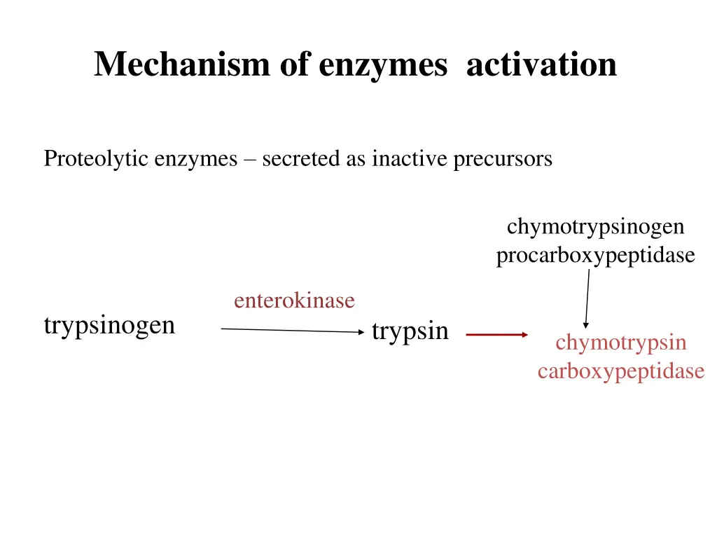 mechanism of enzymes activation