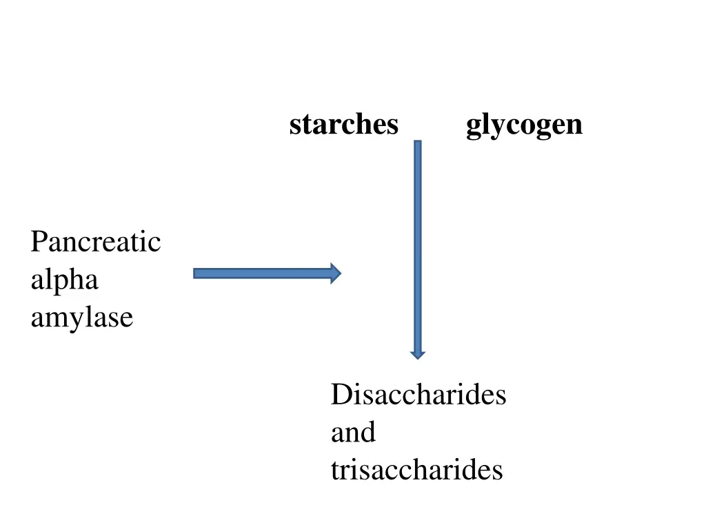 starches
