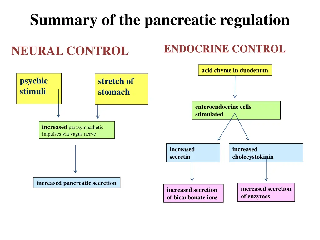 summary of the pancreatic regulation