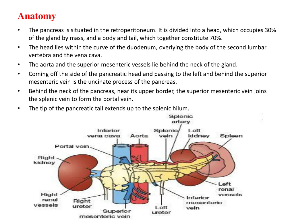 anatomy