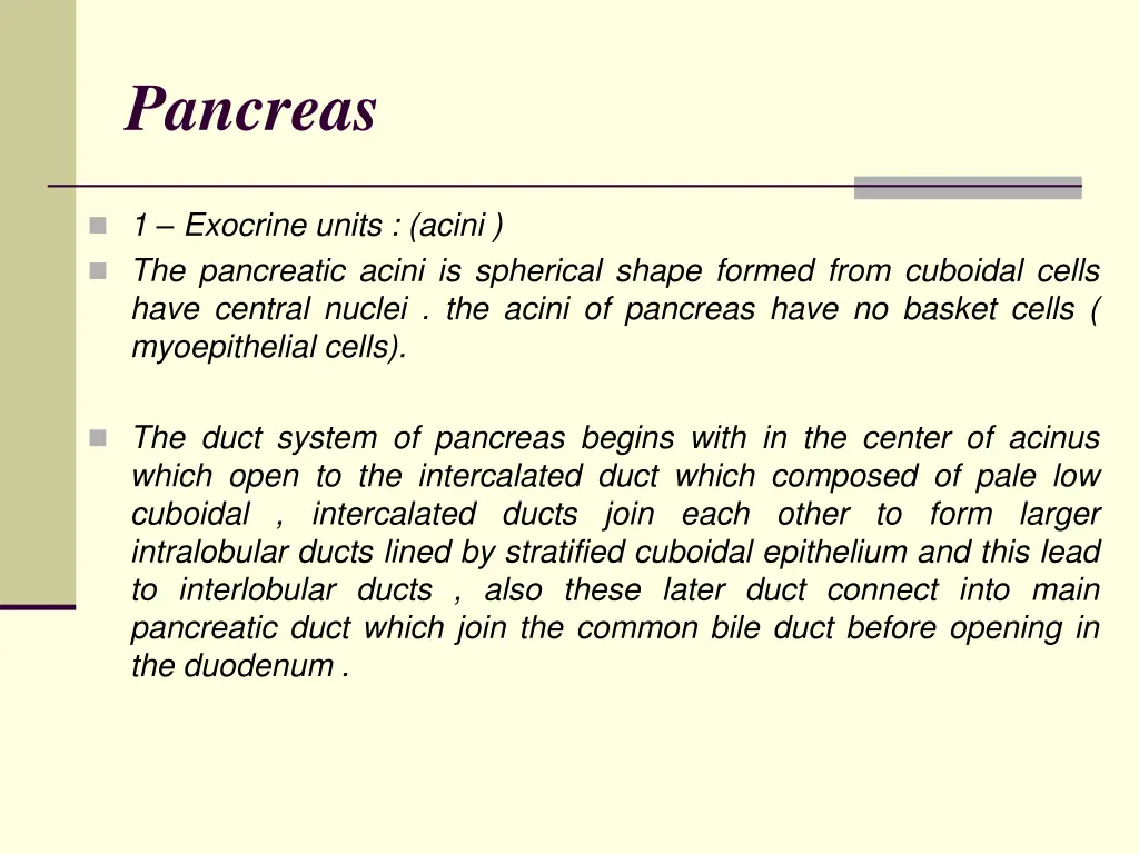 pancreas 1