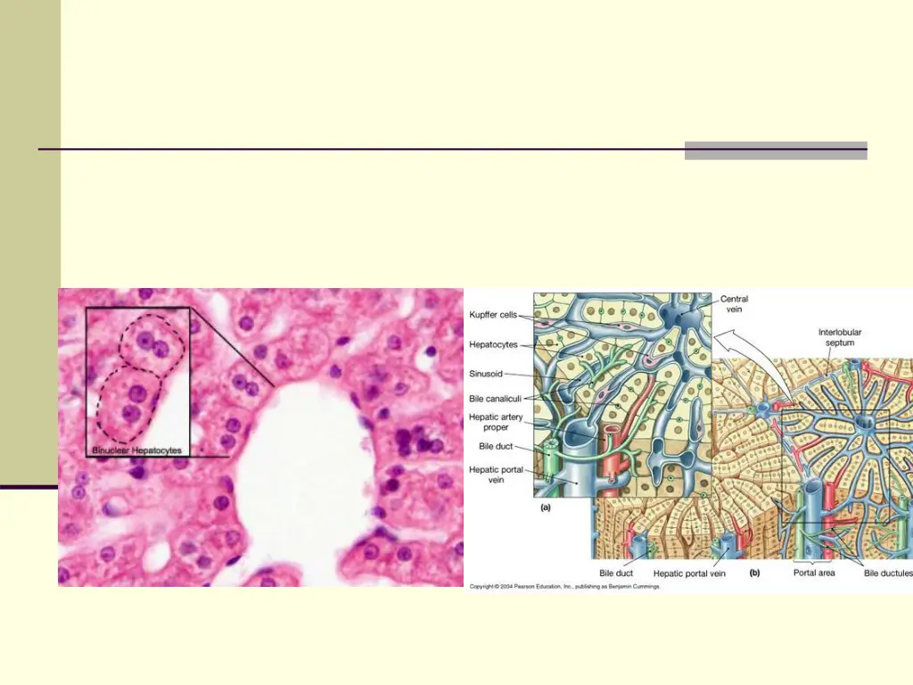 slide8