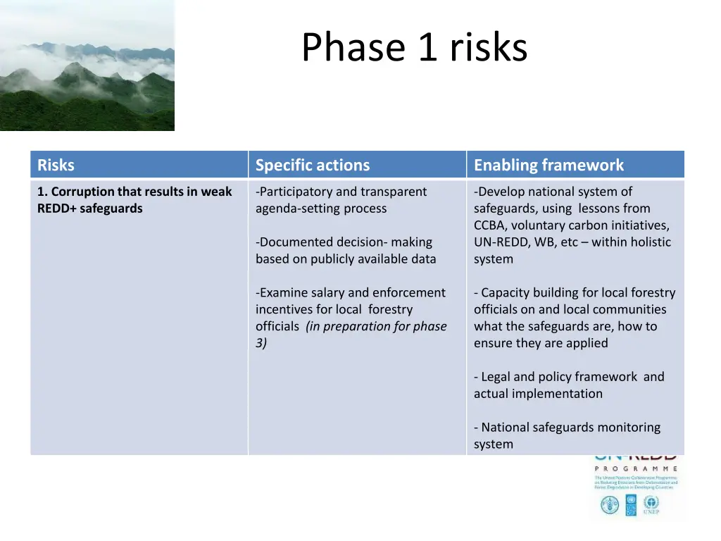 phase 1 risks